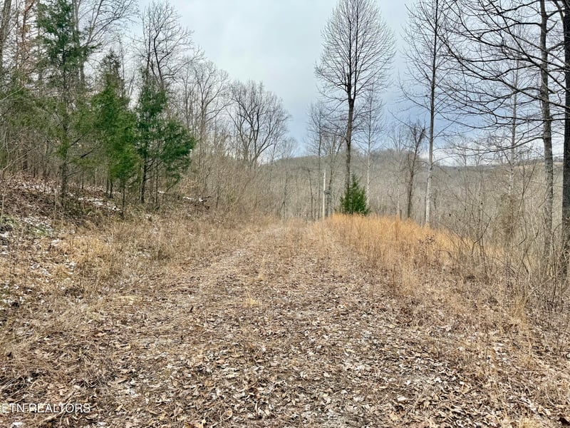 0 Harness Ln, Speedwell, TN 37870