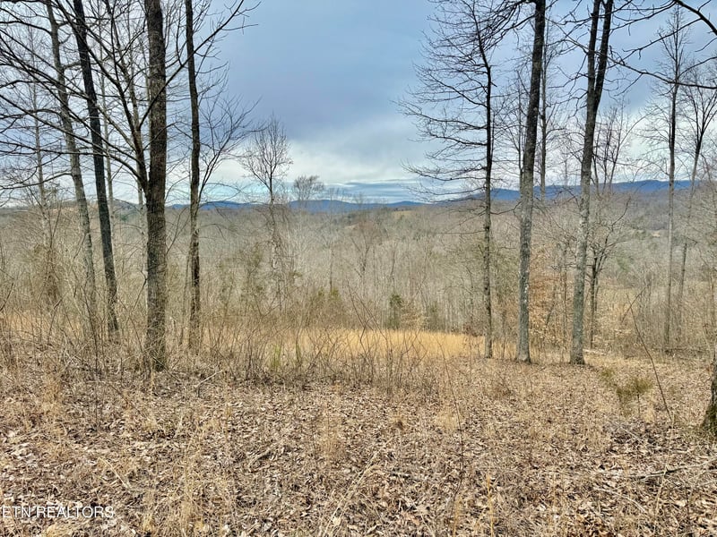 0 Harness Ln, Speedwell, TN 37870
