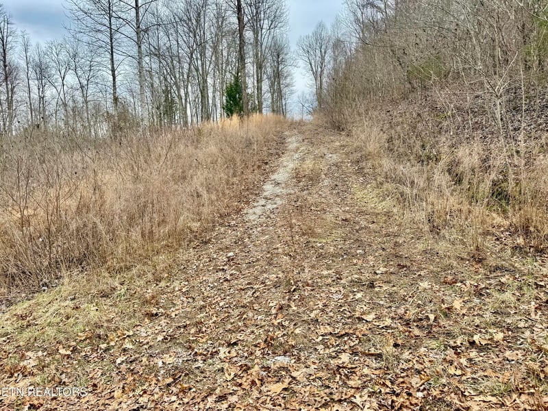 0 Harness Ln, Speedwell, TN 37870