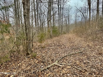 0 Harness Ln, Speedwell, TN 37870