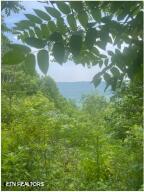 0 Hatfield Creek Rd, Newcomb, TN 37819