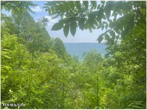 0 Hatfield Creek Rd, Newcomb, TN 37819
