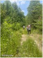 0 Hatfield Creek Rd, Newcomb, TN 37819