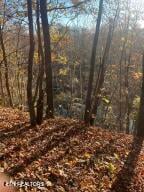 0 Hatfield Creek Rd, Newcomb, TN 37819