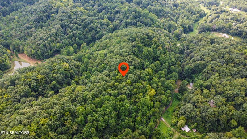 0 Hawk Ln, Seymour, TN 37865