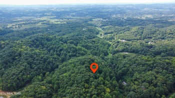0 Hawk Ln, Seymour, TN 37865