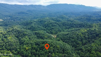 0 Hawk Ln, Seymour, TN 37865