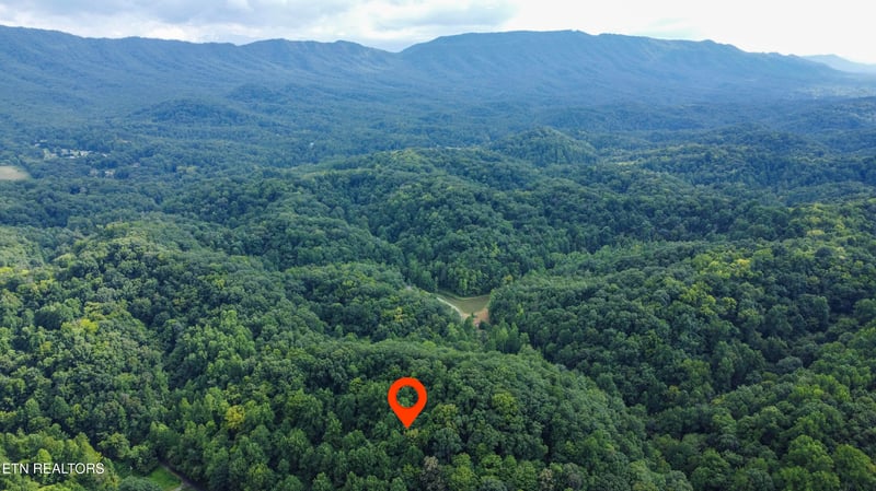 0 Hawk Ln, Seymour, TN 37865