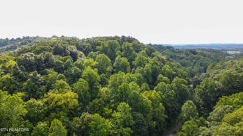0 Hawk Ln, Seymour, TN 37865