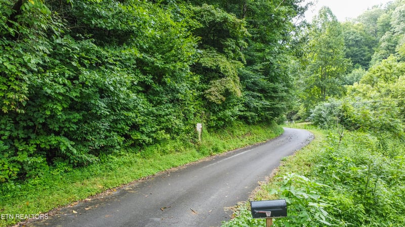 0 Hawk Ln, Seymour, TN 37865