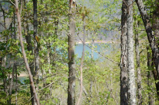 0 Hawk Ln, Sharps Chapel, TN 37866