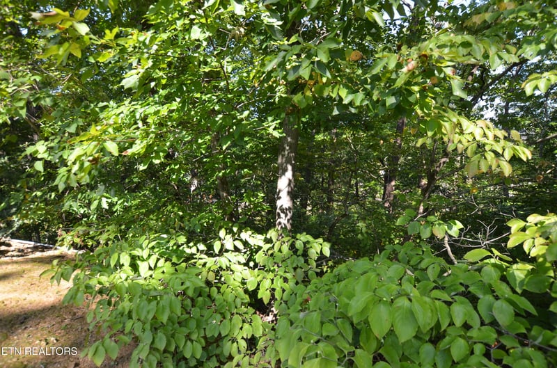 0 Hawks Nest Way, Sevierville, TN 37862