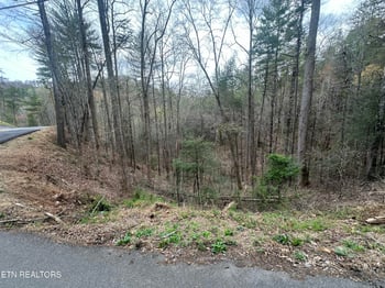 0 Headrick Lead, Sevierville, TN 37862