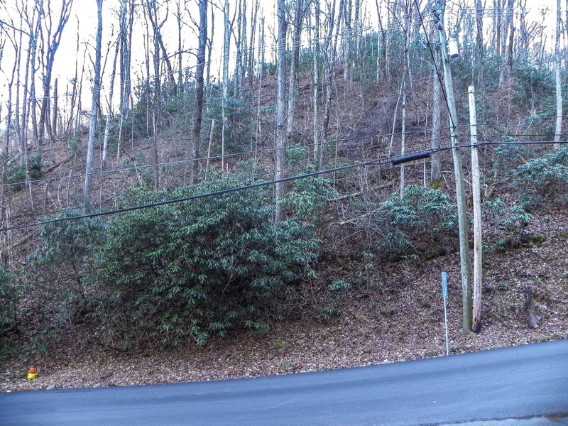 0 Heiden Dr, Gatlinburg, TN 37738
