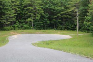 0 Hemlock Bluff Way, Deer Lodge, TN 37726