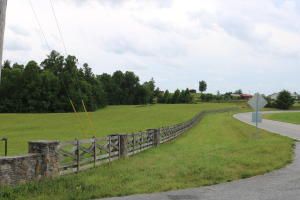 0 Hemlock Bluff Way, Deer Lodge, TN 37726