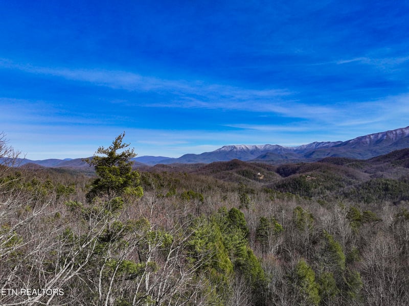 0 Henry Town Rd, Sevierville, TN 37876