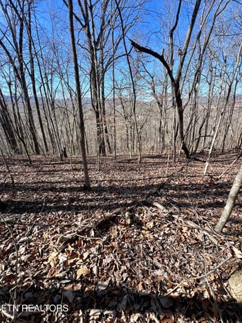 0 Herron Rd, Caryville, TN 37714