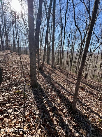 0 Herron Rd, Caryville, TN 37714