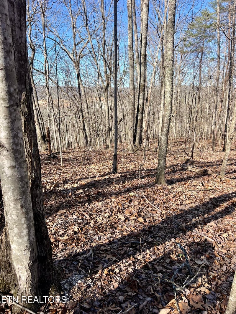 0 Herron Rd, Caryville, TN 37714