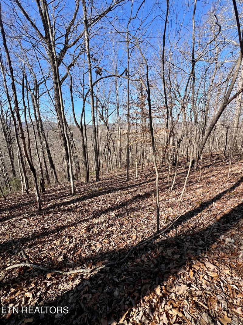 0 Herron Rd, Caryville, TN 37714
