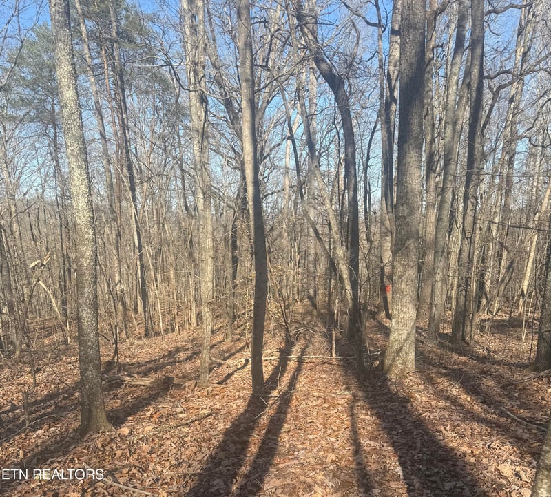 0 Herron Rd, Caryville, TN 37714