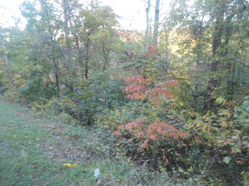 0 Hiawassee Dr, Jacksboro, TN 37757