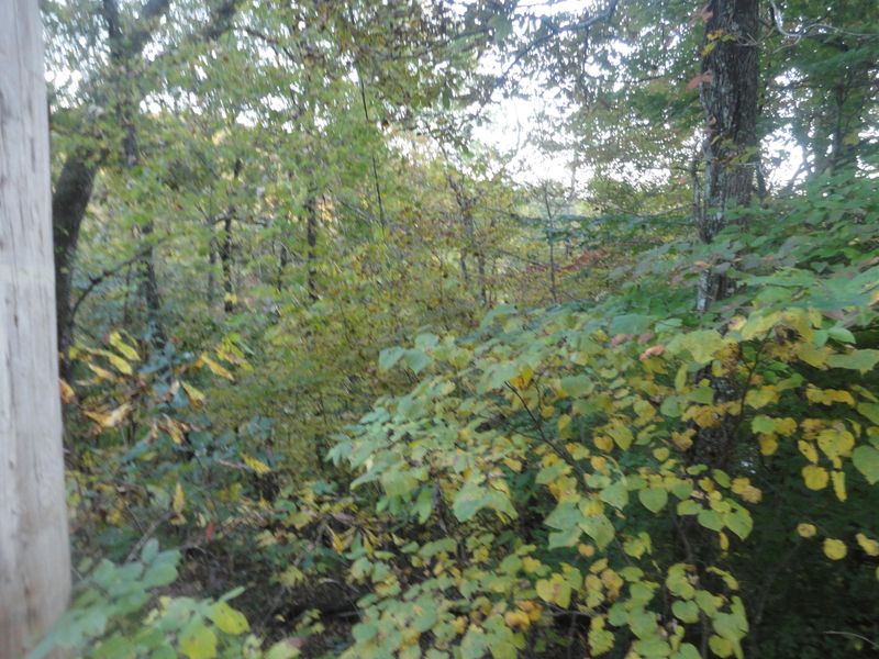 0 Hiawassee Dr, Jacksboro, TN 37757