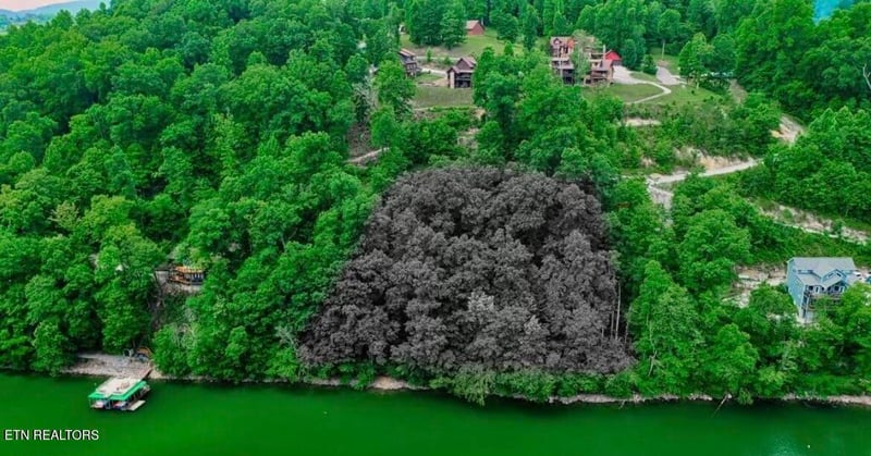 0 Hiawatha Ln, Caryville, TN 37714