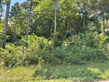 0 Hickory, Maynardville, TN 37807