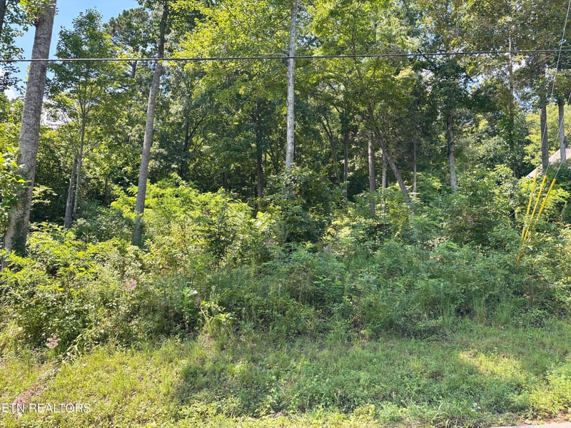 0 Hickory, Maynardville, TN 37807
