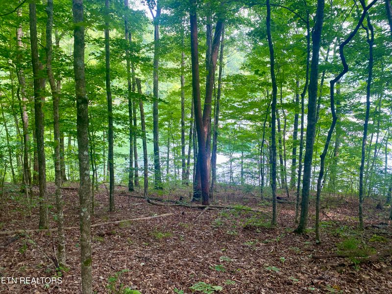 0 Hickory Pointe Ln, Maynardville, TN 37807