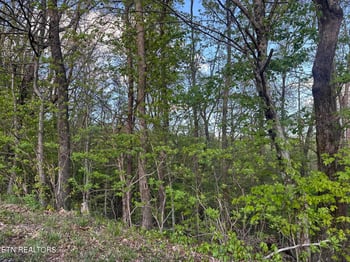 0 Hickory Tr, Crab Orchard, TN 37723