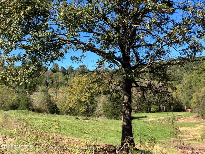 0 Hickory Valley Rd, Maynardville, TN 37807
