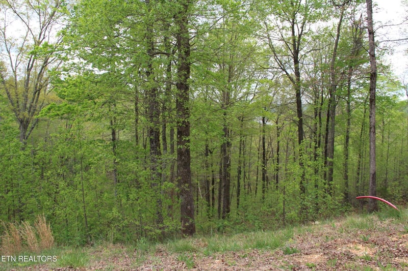 0 Hickory Way, Lafollette, TN 37766