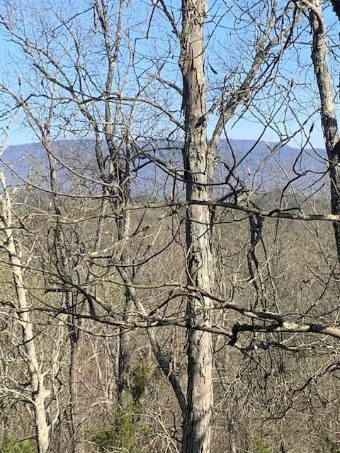 0 Hidden Cove Way, Sevierville, TN 37876