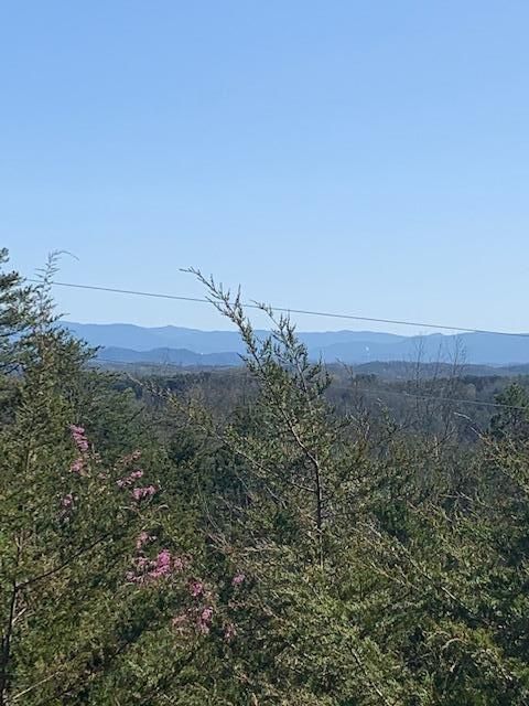 0 Hidden Cove Way, Sevierville, TN 37876