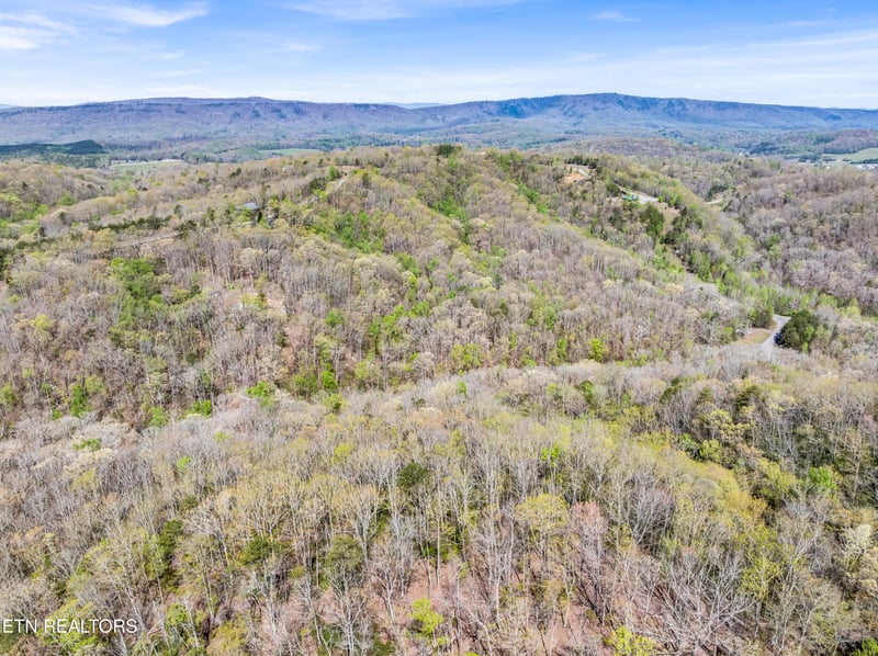 0 Hidden Oaks Rd Lot 444, Rockwood, TN 37854