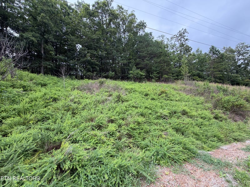 0 Hidden Oaks Rd, Rockwood, TN 37854