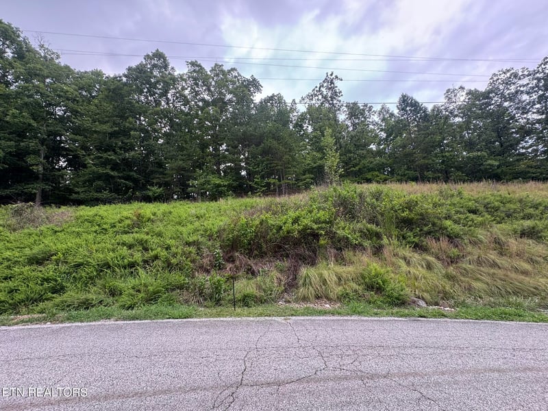 0 Hidden Oaks Rd, Rockwood, TN 37854