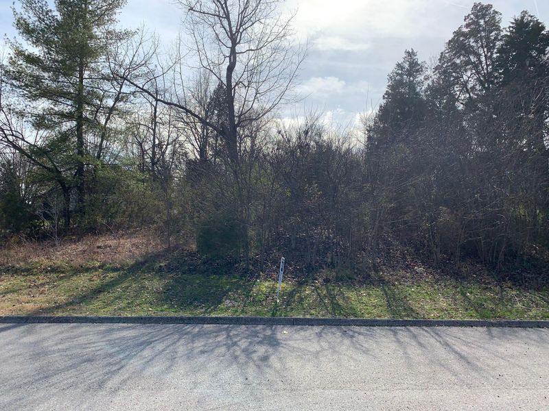 0 High Pointe Village Way, Kingston, TN 37763