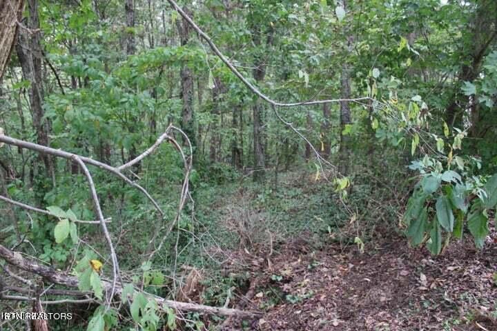 0 Highland Dr, Kingston, TN 37763