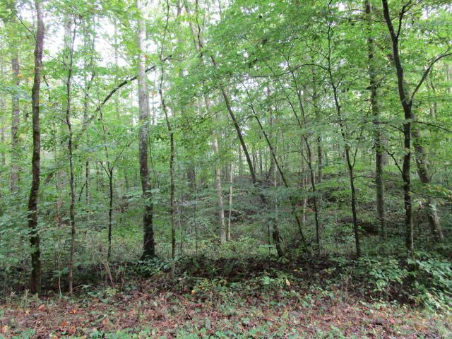 0 Highland Springs, Blaine, TN 37709