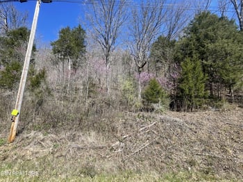 0 Highland Trace Rd, Sharps Chapel, TN 37866