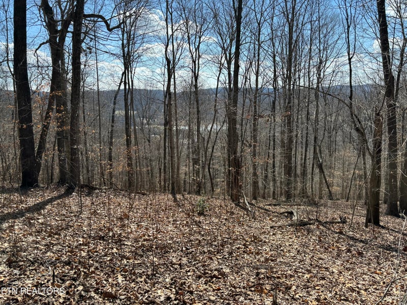 0 Highland Trace Rd, Sharps Chapel, TN 37866