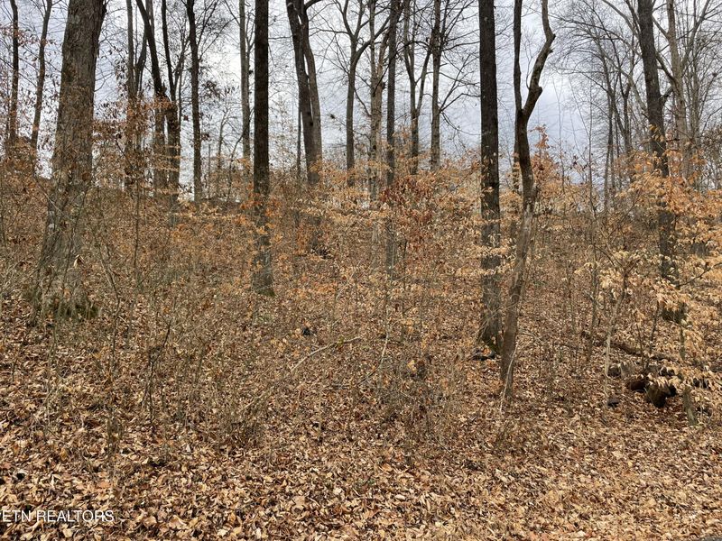 0 Highpoint Dive, Sevierville, TN 37876