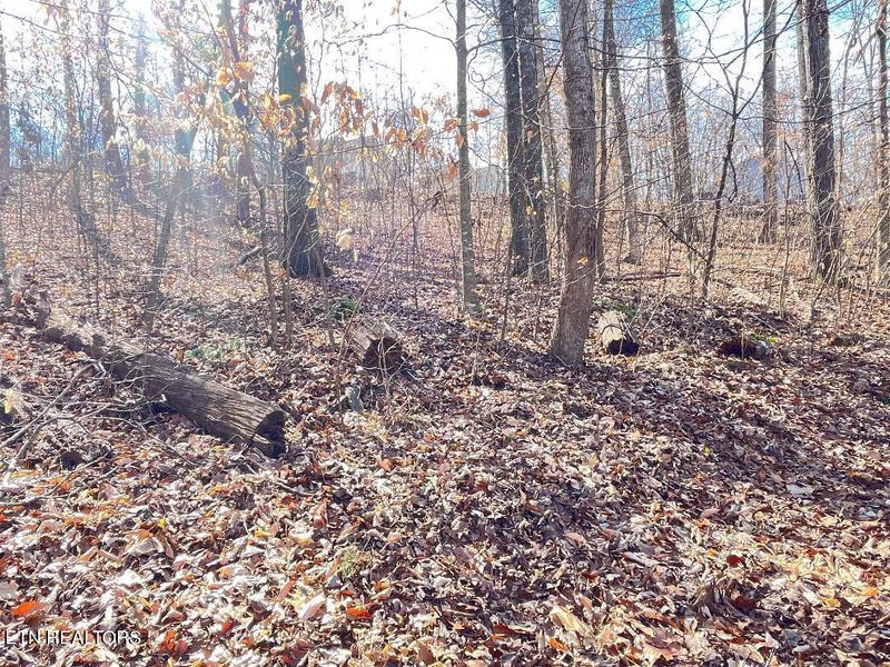 0 Highpoint Ln #75, Sevierville, TN 37876