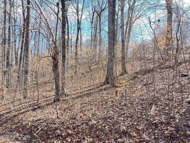 0 Highpoint Ln #75, Sevierville, TN 37876