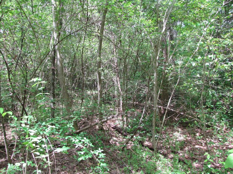 0 Highway 11 E, Lenoir City, TN 37772