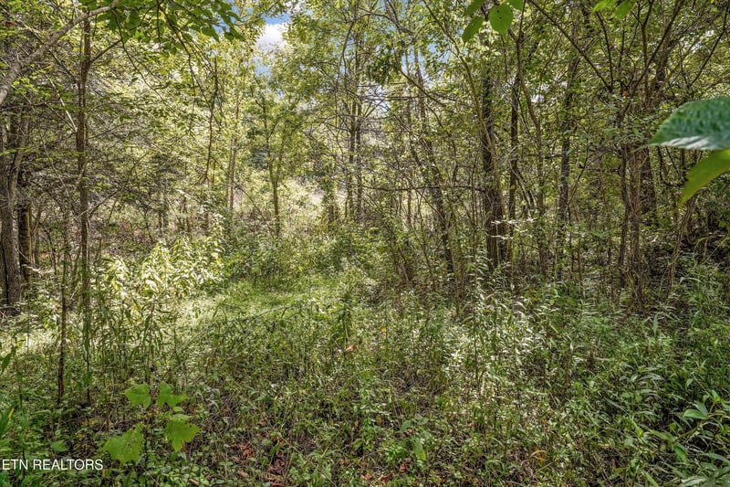 0 Highway 131 West, Treadway, TN 37881